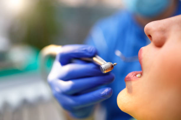 Professional Holistic Dental Care Services in Bradford Woods, PA